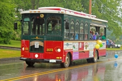 Class of 1951 (60th)