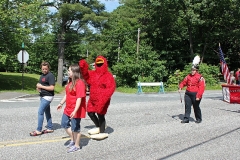 Stevens High School Mascot