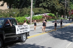 Newport Tigerttes