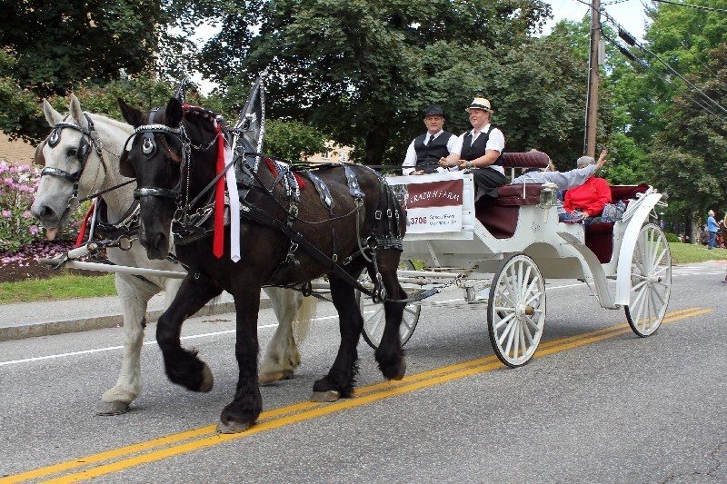 Peter Haynes horse-drawn carriage with Alumni members.