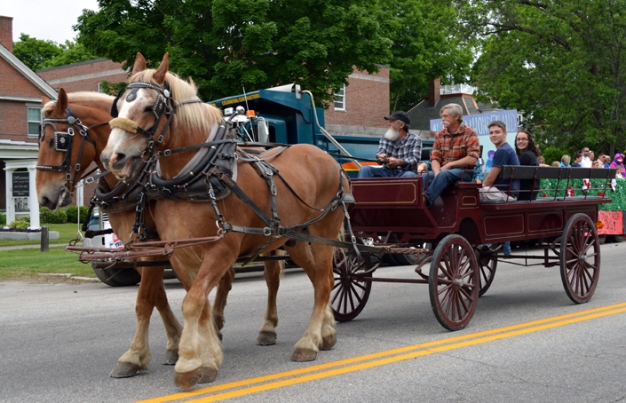 Two horses pull a carriage on Broad Street at the starting point of the 2016 Stevens Alumni parade. (1/200 sec., F7.1, automatic-no flash mode, ISO 200, 32mm).Photo: Stephen C. Fitch   June 11, 2016   10:35 AM